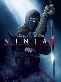 Ninja 2 - shadow of a tear