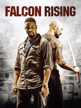 Falcon Rising