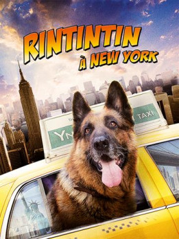 Rintintin à new york