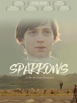 Sparrows