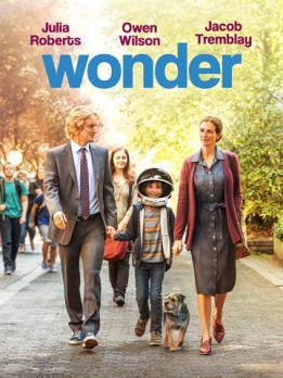 Wonder