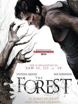 The forest