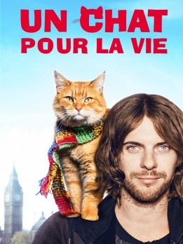 Un chat pour la vie